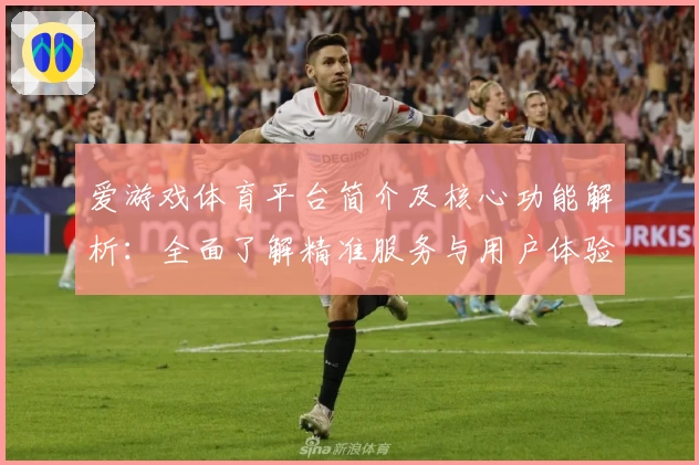 爱游戏体育平台简介及核心功能解析：全面了解精准服务与用户体验