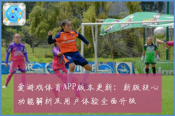 爱游戏体育APP版本更新：新版核心功能解析及用户体验全面升级